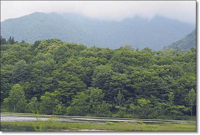 南会津・・・観音沼森林公園(2)_b0053765_16284617.jpg