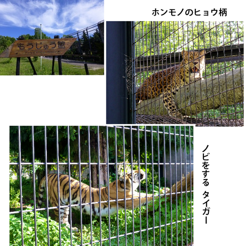 a0157174_1413891.png