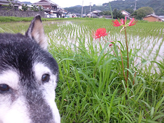 踏みとどまるチカラ_b0057675_21505566.jpg