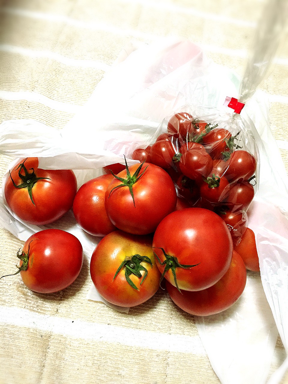 TOMATO_f0172281_5443835.jpg