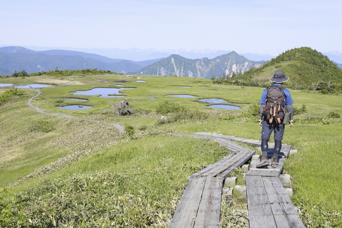 麗しきかな苗場山＠小赤沢コース～苗場山　　2015.7.11(土)～12(日)_c0213096_12354341.jpg