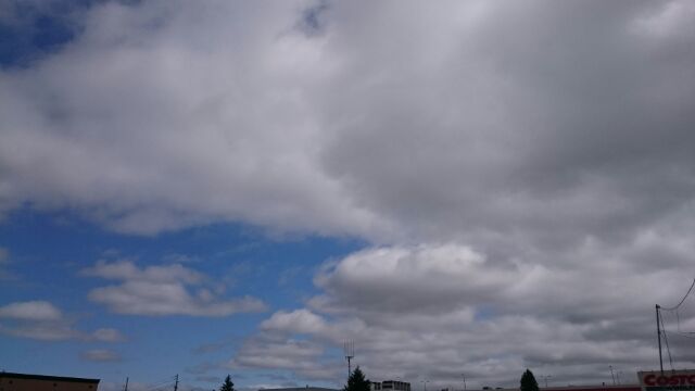 b0127002_16325249.jpg