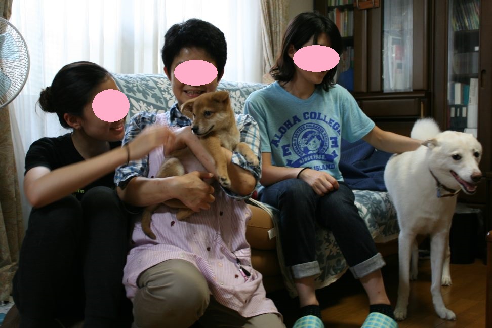豆介くん&チャーチャくん 新生活スタート!_f0242002_10544083.jpg