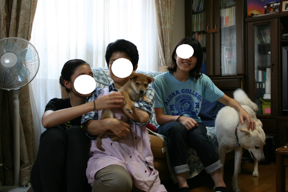 豆介くん&チャーチャくん 新生活スタート!_f0242002_10551772.jpg