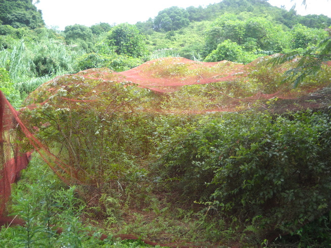 b0317003_04222568.jpg