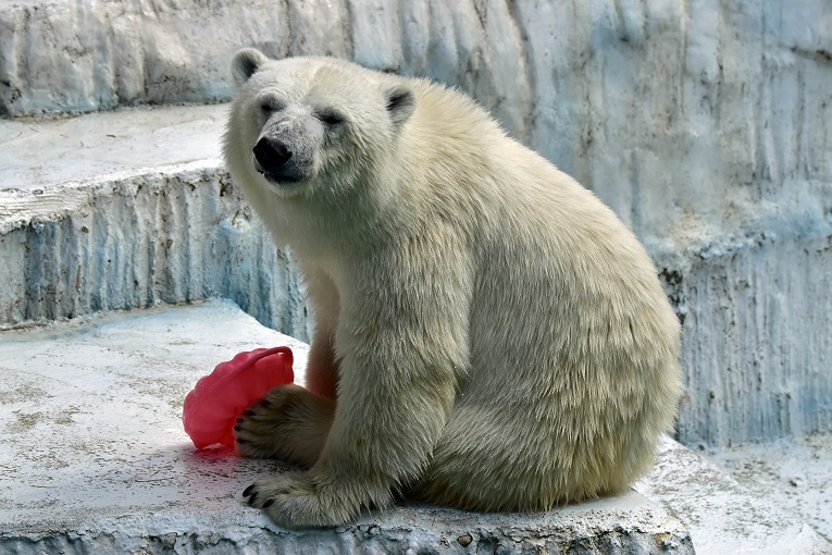 a0151913_3393643.jpg