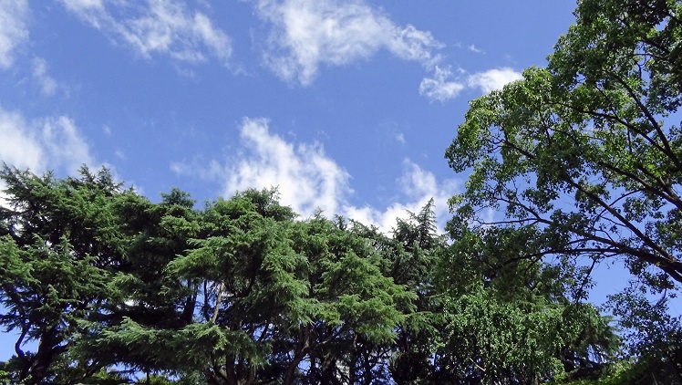 a0151913_342152.jpg