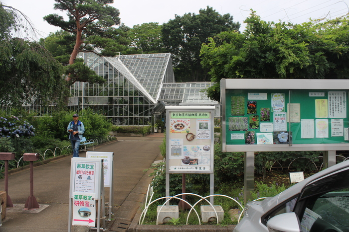 東京都薬草植物園を訪ねる_b0277218_20252211.jpg