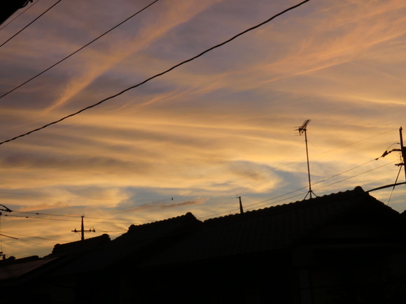 b0163121_2214353.jpg