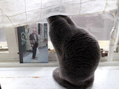 今日の2猫と、イギリスの回転寿司屋さん_b0199526_23533454.jpg