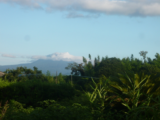a0206332_10361696.jpg
