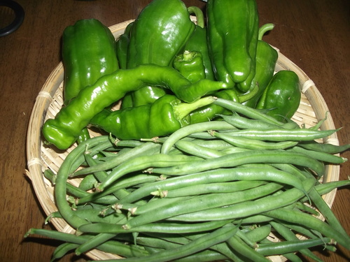 あれこれ野菜で..野菜だけの天ぷら!_b0137932_1042147.jpg