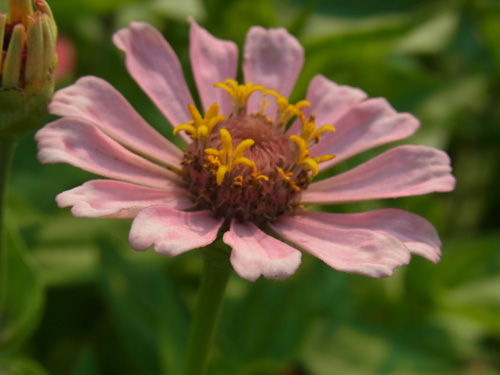 f0206939_2183273.jpg