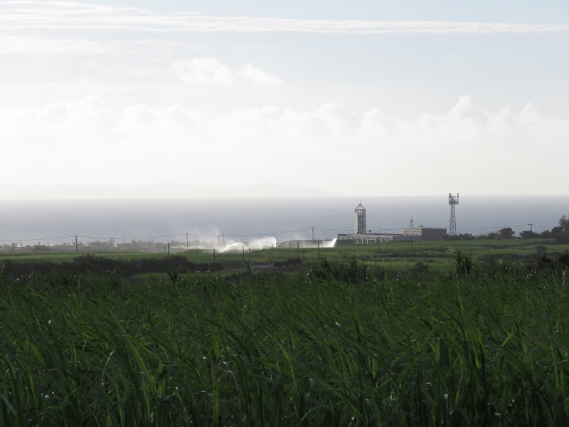 b0288942_8252074.jpg