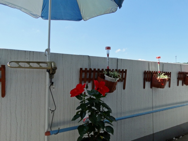 b0181748_1950249.jpg