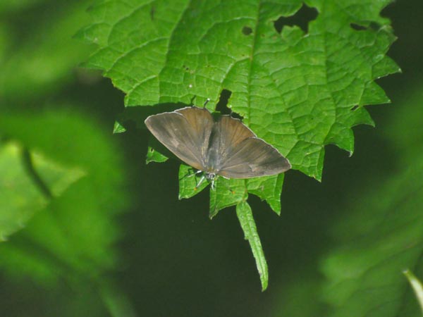 c0045352_19324769.jpg