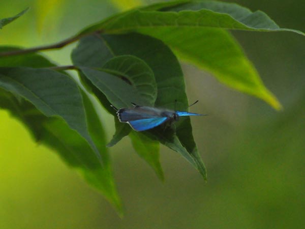 c0045352_19332682.jpg