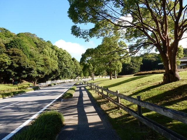 ’15,7,15(水)暑い夏のそれぞれの過ごし方!_f0060461_10574283.jpg