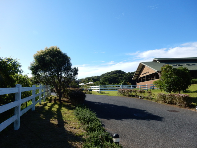 ’15,7,15(水)暑い夏のそれぞれの過ごし方!_f0060461_112438.jpg