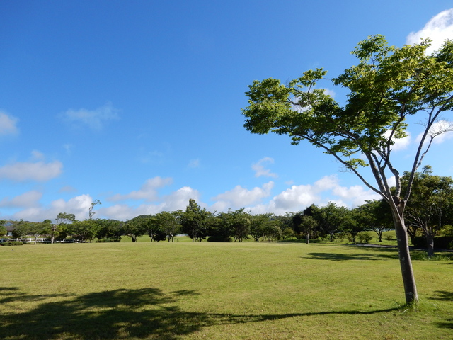 ’15,7,15(水)暑い夏のそれぞれの過ごし方!_f0060461_113611.jpg