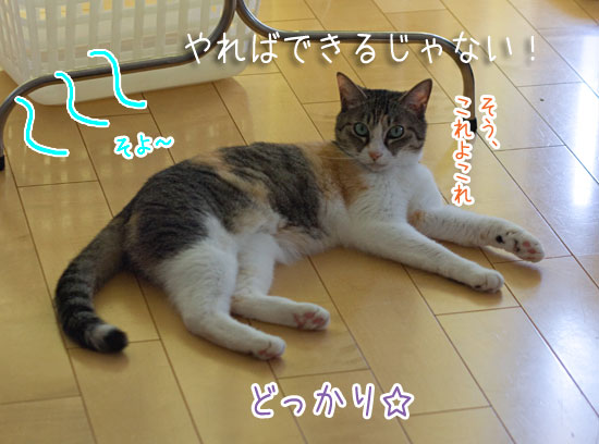 a0119470_062983.jpg