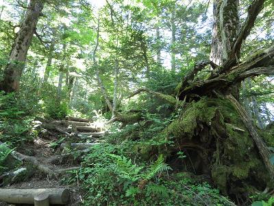 赤石山　　展望抜群・大沼池は青かった！_f0302771_2137528.jpg