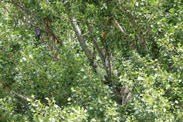 e0213873_2335678.jpg
