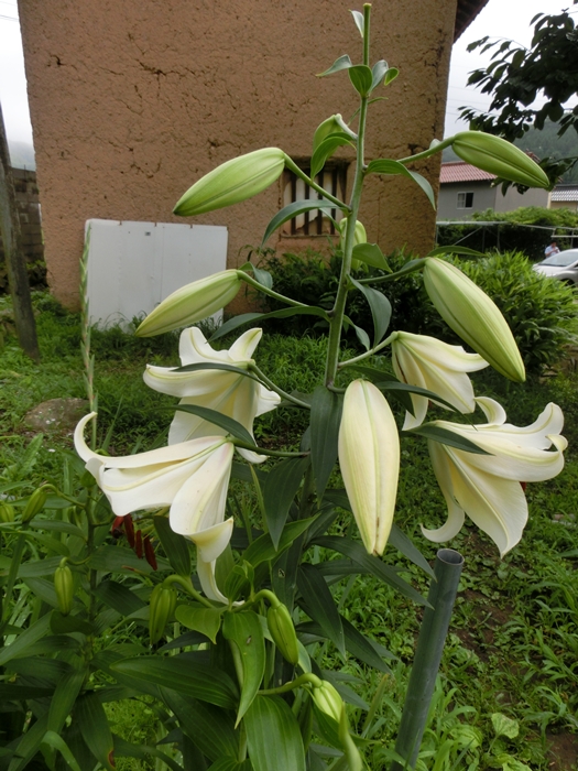 a0199979_1714164.jpg