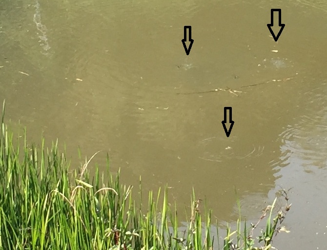 念願の天然ガス噴出現場を見物 その2_a0163788_22844100.jpg
