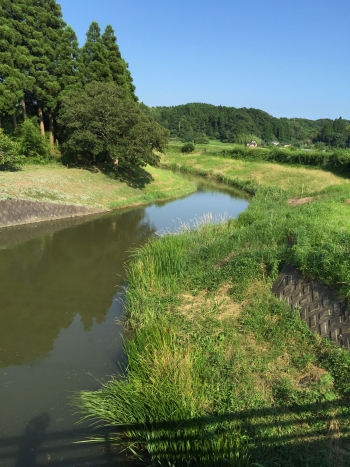 念願の天然ガス噴出現場を見物 その2_a0163788_2294053.jpg