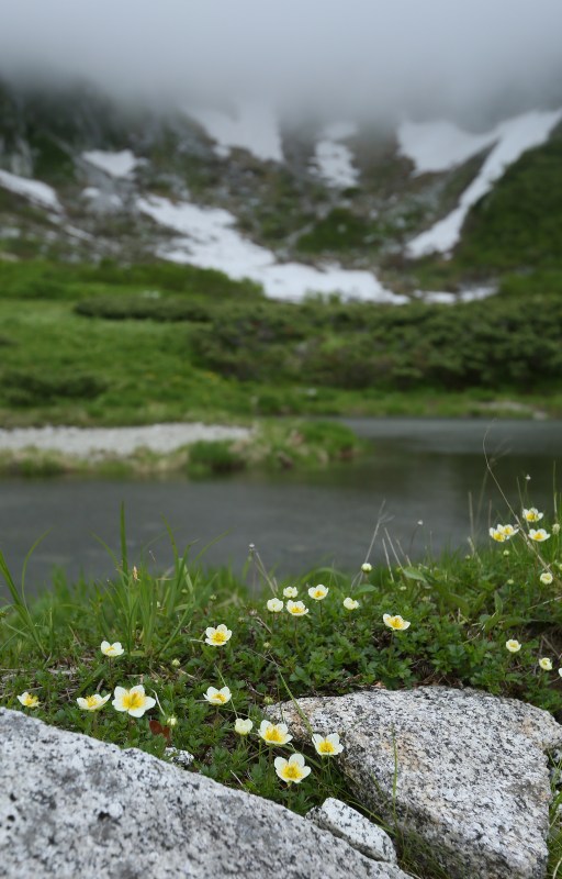 f0000789_10234745.jpg