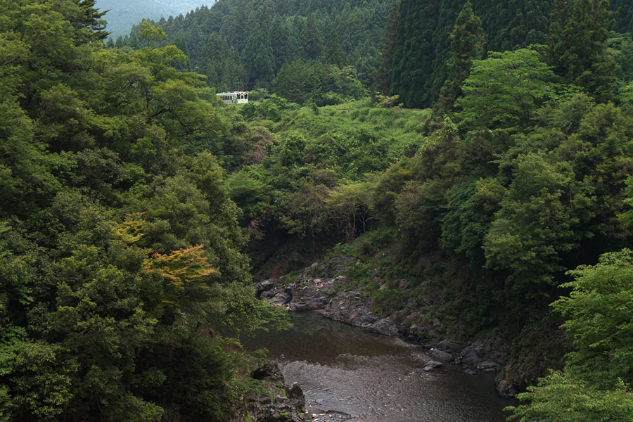 15.06.14：靄っとした曇り日は樽鉄でゆる鉄（後編） _c0007190_1982867.jpg