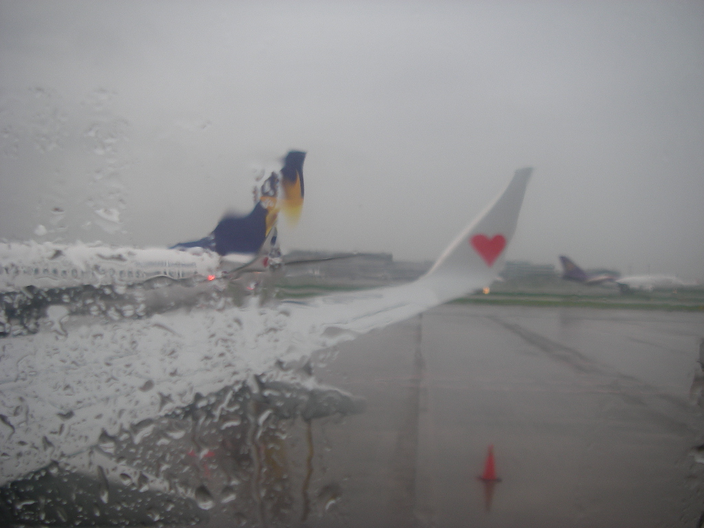 d0046294_1427538.jpg