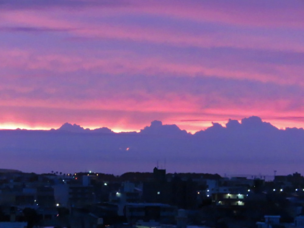 c0049299_22205347.jpg