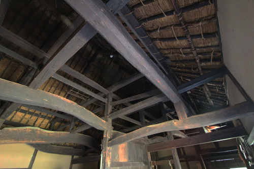 e0054299_10280400.jpg