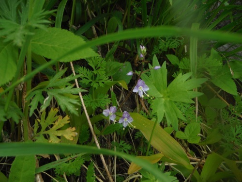 b0326303_18424858.jpg