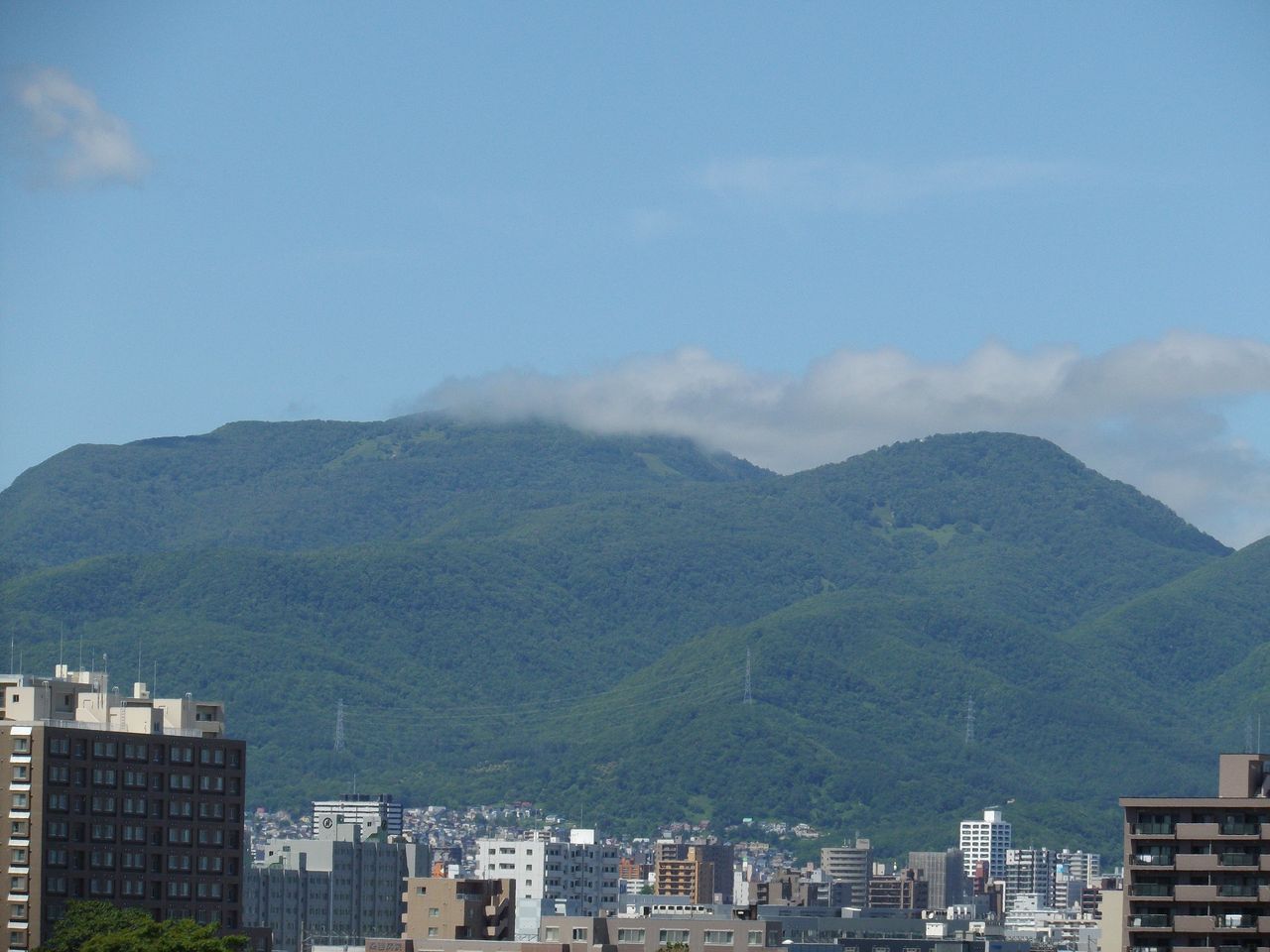 戦争法案が衆議院で強行突破された日の朝、オオウバユリの花びらがすべて散った_c0025115_19465452.jpg