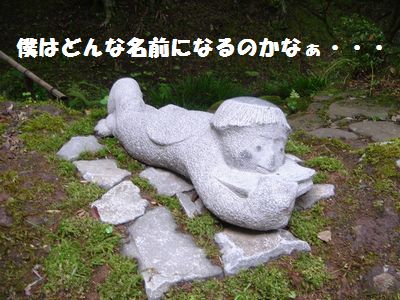 かっぱまつりが始まったよ_e0234016_2015957.jpg