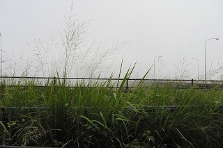 f0190020_07402716.jpg