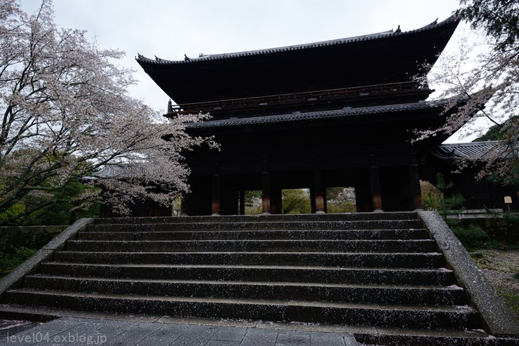 京都 南禅寺 ～桜～_d0319222_9545053.jpg