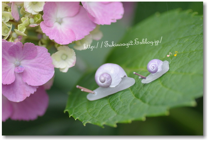 みんなの「紫陽花&雨の季節らしいすてきな一枚」をご紹介!_f0357923_024206.jpg
