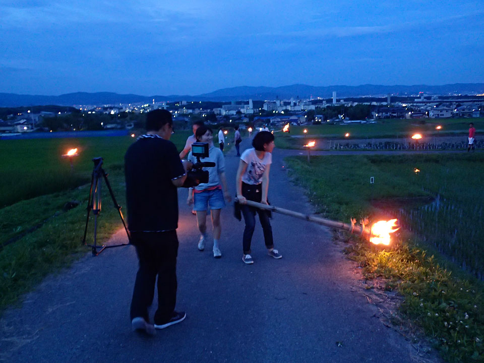 誘蛾灯：今年も夏来たる_e0156224_051354.jpg