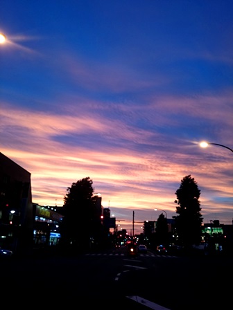 c0109726_1634862.jpg