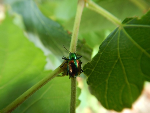f0118332_22145412.jpg