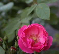 e0241944_2146360.jpg
