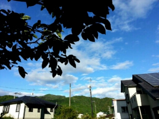 c0330749_13534175.jpg
