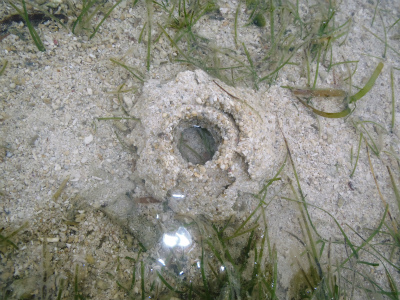 c0180460_12445390.jpg