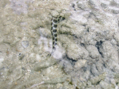 c0180460_12454686.jpg