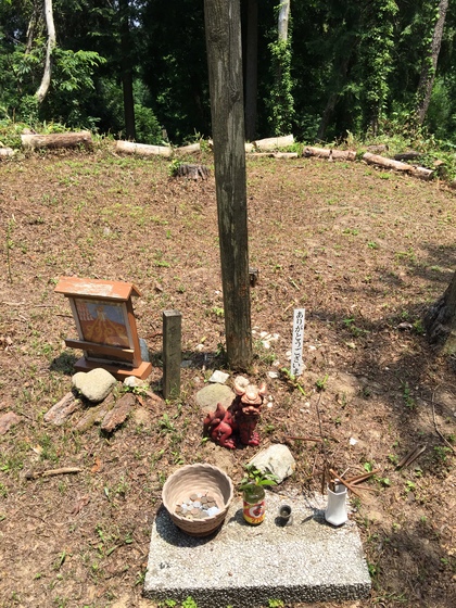 石川県神社参拝の旅　１日め_f0019063_22544541.jpg