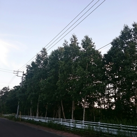 c0311170_19230776.jpg